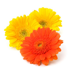 Similar image 2969213