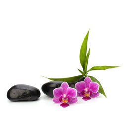 Similar image 2969225