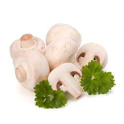 Similar image 2969232