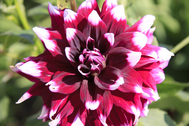 Similar image 2969256