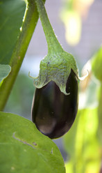 Similar image 2969260