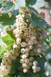 Similar image 2969263