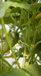 Similar image 2969265