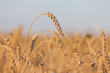 Similar image 2969277