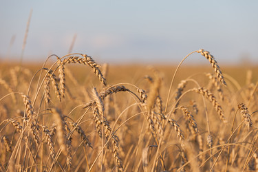 Similar image 2969278