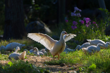 Similar image 2969288