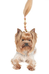 Similar image 2969297