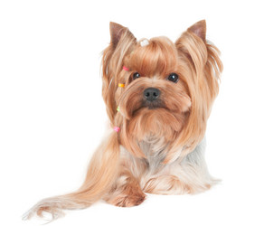 Similar image 2969298