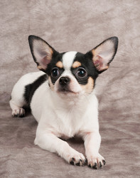 Similar image 2969303