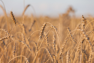 Similar image 2969313