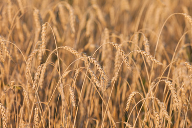 Similar image 2969314