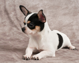 Similar image 2969326