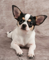 Similar image 2969328