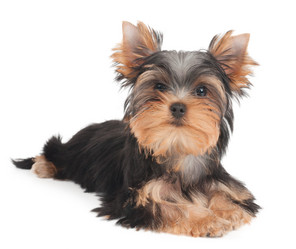 Similar image 2969331