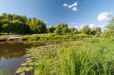 Similar image 2969344