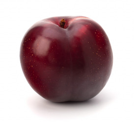 Similar image 2969373