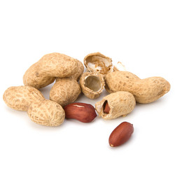 Similar image 2969384