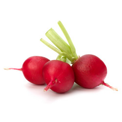 Similar image 2969385