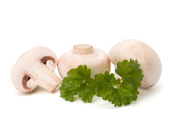 Similar image 2969395