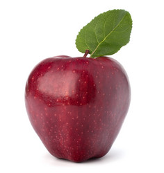 Similar image 2969398