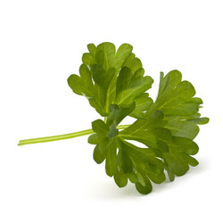 Similar image 2969431