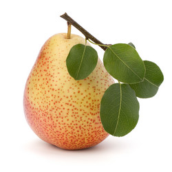 Similar image 2969435