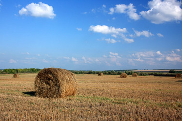 Similar image 2969456