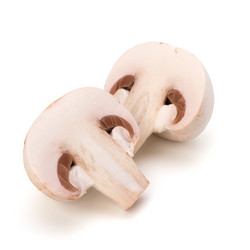 Similar image 2969461