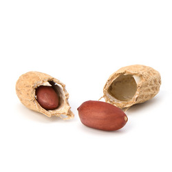 Similar image 2969469