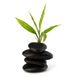 Similar image 2969470