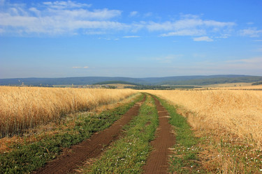 Similar image 2969485