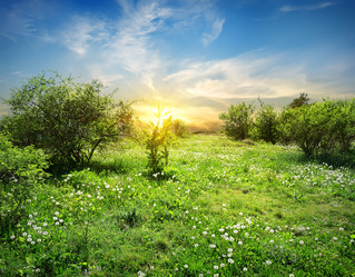 Similar image 2969496