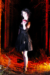 Similar image 2969529