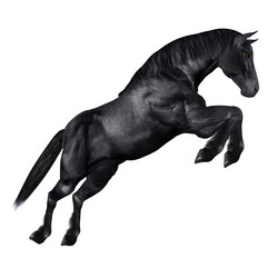 Similar image 2969777