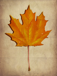 Similar image 2969799