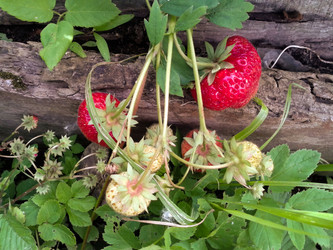 Similar image 2969808