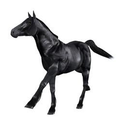 Similar image 2969821