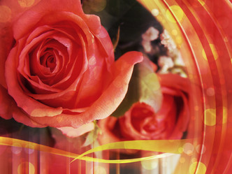 Similar image 2969824