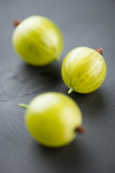 Similar image 2969856