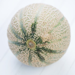 Similar image 2969860