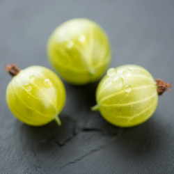 Similar image 2969863