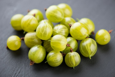 Similar image 2969864