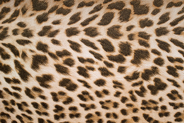 Similar image 2969876