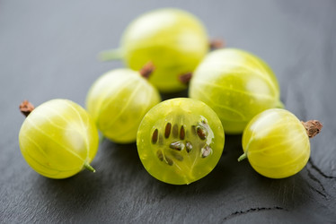 Similar image 2969888