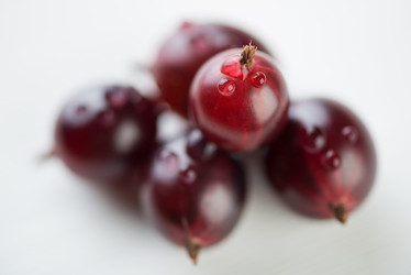 Similar image 2969889