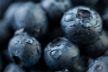 Similar image 2969891