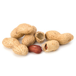 Similar image 2969899