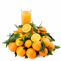 Similar image 2969907