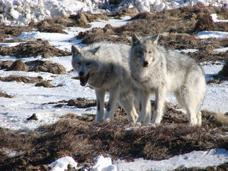 Similar image 2969917