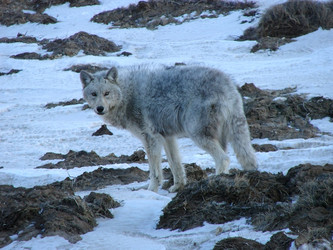 Similar image 2969918